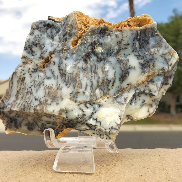 Semi Polished Beautiful Dendritic Opal Slab - Picture 14 of 17